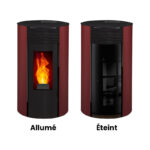 poele a granules etanche sortie dessus concentrique giuliana (4)